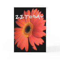 22nd Birthday cards