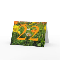 22nd Birthday cards