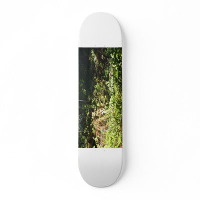 22nd October 029, Original Art By Julymoonart Skateboard Decks by Julymoonart