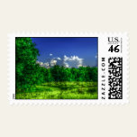 2340 Field Comelara Park Stamps