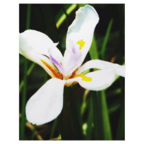 235 white flower lilly art print customized letterhead