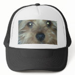 23615_1290158666590_1608937604_701591_5045255_n hats