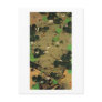 23. 池辺群虫図, 若冲 Living Beings with Pond, Jakuchū Post Cards