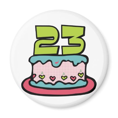 23 Year Old Birthday Cake Fridge Magnet by Birthday_Bash