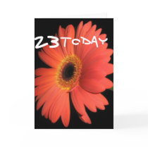 23rd Birthday cards