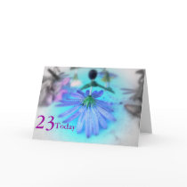 23rd Birthday cards