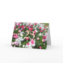 23rd Birthday cards