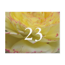 23rd Birthday postcards