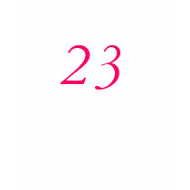 23rd Birthday t-shirts