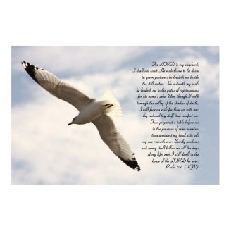 23rd Psalm Biblical Verse with Soaring Sea Gull Posters