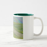 23RD PSALM THE LORD IS MY SHEPHERD BIBLE SCRIPTURE MUGS