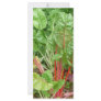240 green leaf art print personalized rack card