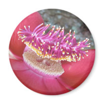 2477 magnets by tropical_clm 2477 magnets