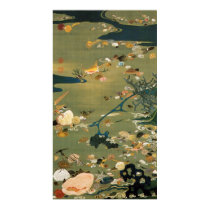 24. 貝甲図, 若冲 Shells, Jakuchū, Japan Art Poster