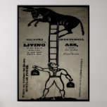 $24.95 Balancing a Living Ass ~ Poster Print