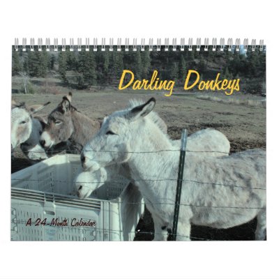 24-Month Darling Donkey Calendar by Liley_Photo_N_Design
