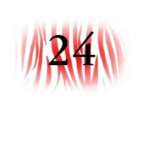 24th Birthday t-shirts