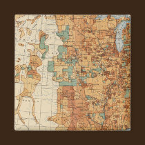 25 Density of increase of population, US, 18901900 magnets