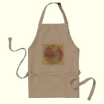 25 Miles Around Minneapolis - 1881 Map aprons