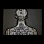 25 - The Silken Skin Poster posters