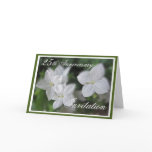25th Anniversary party  Invitation Greeting Cards