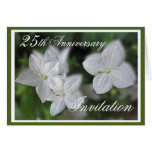25th Anniversary party  Invitation Greeting Cards