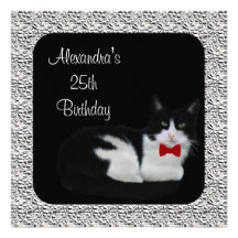 25th Birthday Black & White Cat & Silver Frame Personalized Invites