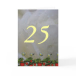 25th Birthday Greeting Cards