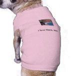 2628_1101587344964_1385120439_30281048_6144518_... PET CLOTHES