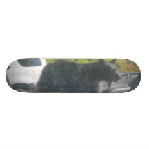 269 SKATEBOARD