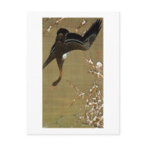 26. 芦雁図, 若冲 Wild Goose, Jakuchū, Japan Art Post Cards