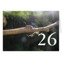 26th Birthday cards