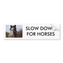 27012007032(1), SLOW DOWN FOR HORSES BUMPER STICKER