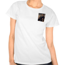 27 William Howard Taft T Shirts