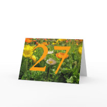 27th Birthday cards