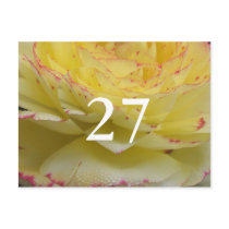 27th Birthday postcards