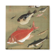 28. 群魚図, 若冲 Various Fishes, Jakuchū, Japan Art Refrigerator Magnet
