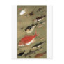28. 群魚図, 若冲 Various Fishes, Jakuchū, Japan Art Postcard