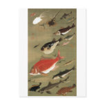 28. 群魚図, 若冲 Various Fishes, Jakuchū, Japan Art Postcard