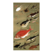 28. 群魚図, 若冲 Various Fishes, Jakuchū, Japan Art Posters