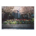 28. April Blossom, California cards by JBPhotoBiz 28. April Blossom, California cards