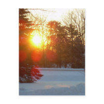 28 January 2010 postcards by NiftyMorning 28 January 2010 postcards