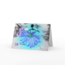 28th Birthday cards