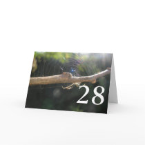 28th Birthday cards