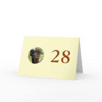 28th Birthday cards