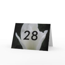 28th Birthday cards