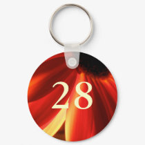 28th Birthday keychains