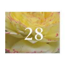 28th Birthday postcards