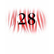 28th Birthday t-shirts