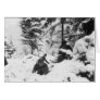 290th American Regiment in the Battle of the Bulge Card
